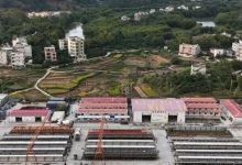 柳梧鐵路站前6標(biāo)項目建設(shè)提速，力爭年內(nèi)完成全部架梁任務(wù)-岑溪生活—站式岑溪本地生活服務(wù)平臺 www.liuxuelu.cn