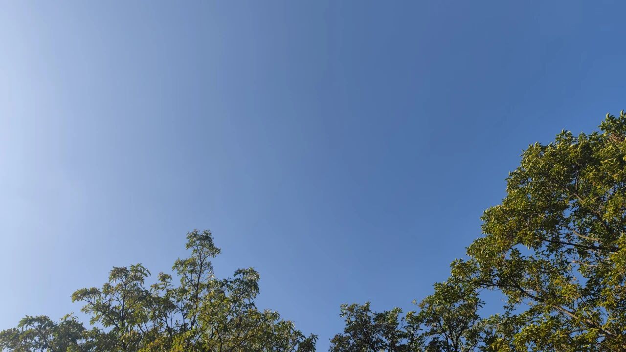 晴暖天氣再持續(xù)一天，“阿冷”將帶來大風(fēng)降溫天氣~-岑溪生活—站式岑溪本地生活服務(wù)平臺 www.liuxuelu.cn