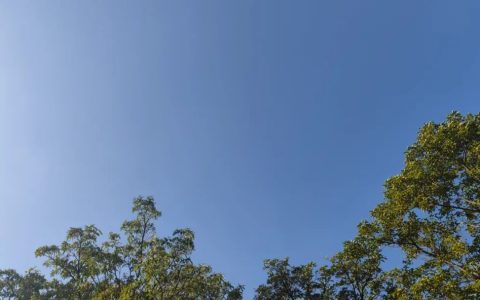 冷空氣要來，梧州第一批穿“越冬防凍裝備”的竟是它們→-岑溪生活—站式岑溪本地生活服務(wù)平臺(tái) www.liuxuelu.cn