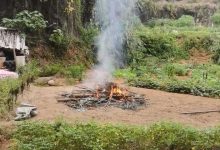 岑溪有人在禁燒區(qū)焚燒雜物，有關(guān)部門回應(yīng)...-岑溪生活—站式岑溪本地生活服務(wù)平臺 www.liuxuelu.cn