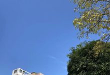 今日小雪 || 連日晴燥，洗曬正當時，明晚起弱阿“冷”來走過場～-岑溪生活—站式岑溪本地生活服務(wù)平臺 www.liuxuelu.cn