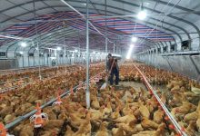 岑溪：集體經(jīng)濟(jì)多元增收繪新景-岑溪生活—站式岑溪本地生活服務(wù)平臺(tái) www.liuxuelu.cn