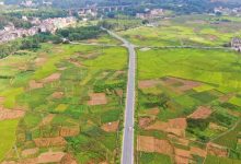 岑溪公路養(yǎng)護(hù)中心全面接養(yǎng)省道310線并開展系統(tǒng)養(yǎng)護(hù)與路產(chǎn)保護(hù)工作-岑溪生活—站式岑溪本地生活服務(wù)平臺(tái) www.liuxuelu.cn