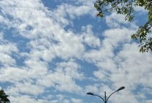 未來兩天晴燥天氣返場，早晚仍較冷~-岑溪生活—站式岑溪本地生活服務(wù)平臺 www.liuxuelu.cn