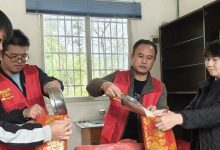 種田也能種出500萬！藤縣這個村的致富路有點“逆天”-岑溪生活—站式岑溪本地生活服務(wù)平臺 www.liuxuelu.cn