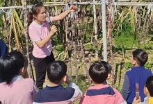 “蔗”里有甜更有樂！岑溪市第一幼兒園開啟自然教育新體驗(yàn)-岑溪生活—站式岑溪本地生活服務(wù)平臺(tái) www.liuxuelu.cn