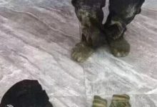 梧州一男子竟然男扮女裝，偷路邊電箱...捉！-岑溪生活—站式岑溪本地生活服務(wù)平臺 www.liuxuelu.cn