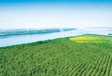 廣西首批“生物多樣性+林業(yè)”金融產(chǎn)品落地梧州-岑溪生活—站式岑溪本地生活服務平臺 www.liuxuelu.cn