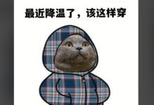 冷空氣已至，明早氣溫明顯下降~-岑溪生活—站式岑溪本地生活服務(wù)平臺(tái) www.liuxuelu.cn