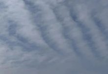 岑溪?dú)鉁匦∷椴缴仙?，晾曬正?dāng)時(shí)～-岑溪生活—站式岑溪本地生活服務(wù)平臺(tái) www.liuxuelu.cn