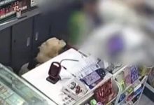 未拴繩大狗進店撲向女童！明年起，遛狗不拴繩可拘10天罰1000元-岑溪生活—站式岑溪本地生活服務平臺 www.liuxuelu.cn