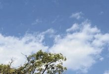 岑溪“晴”歌單曲循環(huán)，暖意持續(xù)！-岑溪生活—站式岑溪本地生活服務(wù)平臺(tái) www.liuxuelu.cn