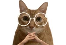 岑溪再暖兩天，較強冷空氣來跨年，元旦假期最低氣溫將降至3-5℃！還有雨水......-岑溪生活—站式岑溪本地生活服務平臺 www.liuxuelu.cn