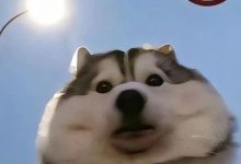 未來(lái)兩天暖意維持，氣溫回歸兩位數(shù)～-岑溪生活—站式岑溪本地生活服務(wù)平臺(tái) www.liuxuelu.cn