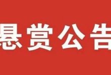 梧州市龍圩區(qū)人民法院執(zhí)行懸賞公告（2025年第十三期）-岑溪生活—站式岑溪本地生活服務(wù)平臺(tái) www.liuxuelu.cn