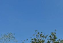 冷空氣消息又來啦！周末最低氣溫將降至4-7℃-岑溪生活—站式岑溪本地生活服務(wù)平臺 www.liuxuelu.cn