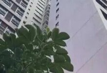 高層發(fā)生火災(zāi)如何逃生？梧州消防來支招→-岑溪生活—站式岑溪本地生活服務(wù)平臺 www.liuxuelu.cn