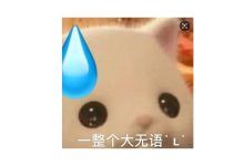 短袖登場？未來兩天局部最高氣溫竟達(dá)……-岑溪生活—站式岑溪本地生活服務(wù)平臺 www.liuxuelu.cn