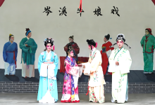 岑溪這里，連續(xù)5天！免費看！-岑溪生活—站式岑溪本地生活服務平臺 www.liuxuelu.cn