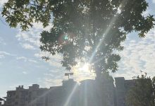 暖、暖、暖！未來兩天我市暖意拉滿，最高有24-26℃-岑溪生活—站式岑溪本地生活服務(wù)平臺 www.liuxuelu.cn