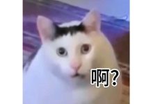 未來三天天氣和暖，20日起強冷空氣影響我市，周末請抓緊晾曬！-岑溪生活—站式岑溪本地生活服務平臺 www.liuxuelu.cn