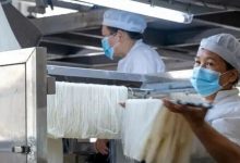 6.1億元！2025年1至11月，梧州特色農(nóng)產(chǎn)品出口成績亮眼-岑溪生活—站式岑溪本地生活服務(wù)平臺 www.liuxuelu.cn