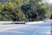 國道207線三項公路安全設施精細化提升工程順利通過竣工驗收-岑溪生活—站式岑溪本地生活服務平臺 www.liuxuelu.cn