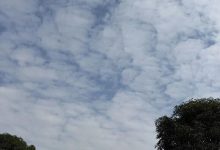 未來一周氣溫起伏變化大，冷空氣、大霧和回南潮濕天氣輪番登場~-岑溪生活—站式岑溪本地生活服務(wù)平臺 www.liuxuelu.cn