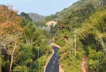 岑溪這些道路即將升級→-岑溪生活—站式岑溪本地生活服務(wù)平臺 www.liuxuelu.cn