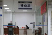 岑溪林業(yè)行政審批“一窗辦結”今日啟用！辦事不用多跑路，便民服務暖人心-岑溪生活—站式岑溪本地生活服務平臺 www.liuxuelu.cn