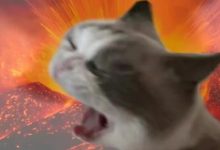 短袖→羽絨，強冷空氣腳步已近，我市兩地發(fā)布寒潮預(yù)警信號，明天出門要多帶件衣服~-岑溪生活—站式岑溪本地生活服務(wù)平臺 www.liuxuelu.cn