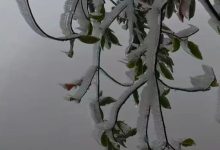 “凍感”十足！好消息是，明天起氣溫逐步回升～-岑溪生活—站式岑溪本地生活服務(wù)平臺(tái) www.liuxuelu.cn