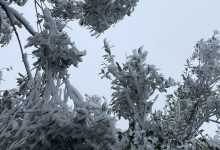 岑溪驚現(xiàn)冰掛奇觀，怎一個(gè)美字了得！-岑溪生活—站式岑溪本地生活服務(wù)平臺(tái) www.liuxuelu.cn