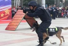 2026年廣西公務(wù)員招錄！岑溪公安歡迎您的加入→-岑溪生活—站式岑溪本地生活服務(wù)平臺 www.liuxuelu.cn