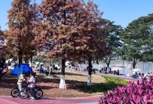 又冷又熱，早晚溫差可達(dá)15℃，未來兩天梧州持續(xù)晴燥模式→-岑溪生活—站式岑溪本地生活服務(wù)平臺 www.liuxuelu.cn