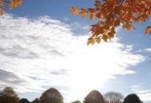 未來兩天，天氣晝暖夜寒，晴燥維持~-岑溪生活—站式岑溪本地生活服務(wù)平臺 www.liuxuelu.cn