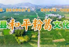 【活動預(yù)告】“葛王”爭霸、美食狂歡！第二屆藤縣和平粉葛文化節(jié)要來啦！-岑溪生活—站式岑溪本地生活服務(wù)平臺 www.liuxuelu.cn