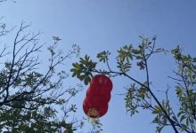 收假在即，陰雨范圍擴大，返程需注意天氣變化~-岑溪生活—站式岑溪本地生活服務平臺 www.liuxuelu.cn