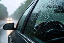 馬年首場強(qiáng)對(duì)流天氣來襲！未來兩天局部有明顯降雨，外出注意交通安全~-岑溪生活—站式岑溪本地生活服務(wù)平臺(tái) www.liuxuelu.cn