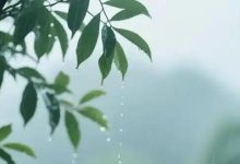 晴好天氣余額不足，25日開(kāi)始全市將轉(zhuǎn)陰雨天氣，明顯降雨出現(xiàn)在......-岑溪生活—站式岑溪本地生活服務(wù)平臺(tái) www.liuxuelu.cn