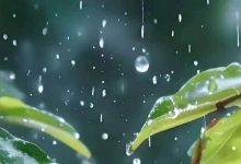 未來兩天雨水駐足，局地有強降雨和強對流天氣，注意防御！-岑溪生活—站式岑溪本地生活服務平臺 www.liuxuelu.cn