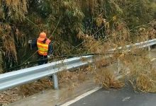 春節(jié)我在崗丨以堅守赴使命 用實干暖民心-岑溪生活—站式岑溪本地生活服務(wù)平臺 www.liuxuelu.cn