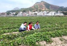 岑溪這波操作讓冬閑地“忙”起來了！-岑溪生活—站式岑溪本地生活服務(wù)平臺 www.liuxuelu.cn