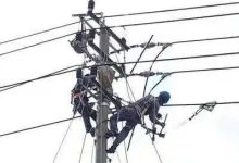 岑溪供電公司：線路升級(jí)消缺隱患 護(hù)航春節(jié)可靠用電-岑溪生活—站式岑溪本地生活服務(wù)平臺(tái) www.liuxuelu.cn