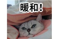 未來兩天維持溫暖和煦的天氣， 適宜年前洗曬～-岑溪生活—站式岑溪本地生活服務(wù)平臺 www.liuxuelu.cn