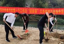 迎新春·添新綠！三堡鎮(zhèn)開展2026年春節(jié)后第一個工作日“迎新春”義務植樹志愿服務活動-岑溪生活—站式岑溪本地生活服務平臺 www.liuxuelu.cn