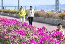 梧州氣溫將持續(xù)回升，過(guò)年怎么穿衣？春節(jié)天氣“劇透”→-岑溪生活—站式岑溪本地生活服務(wù)平臺(tái) www.liuxuelu.cn