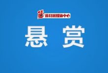 藤縣羅子全、黃錦麗、黎菲等10人被執(zhí)行懸賞-岑溪生活—站式岑溪本地生活服務(wù)平臺(tái) www.liuxuelu.cn