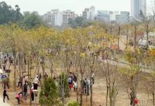 春回大地萬物蘇 植綠添綠正當時丨春節(jié)假期后首個工作日我市開展植樹活動 趙春雷吳偉華歐杰韋學文等參加-岑溪生活—站式岑溪本地生活服務平臺 www.liuxuelu.cn