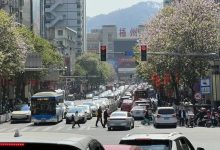 梧州河東被廣東游客包圍了？返程高峰太卷，多條道路堵成“麻花”→-岑溪生活—站式岑溪本地生活服務平臺 www.liuxuelu.cn